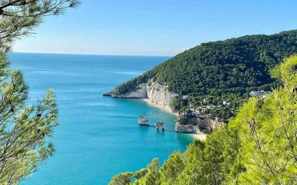 Panoramica