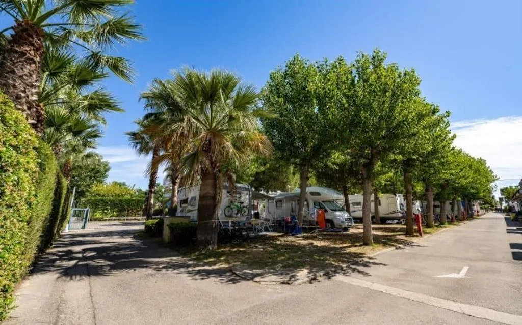 Piazzola