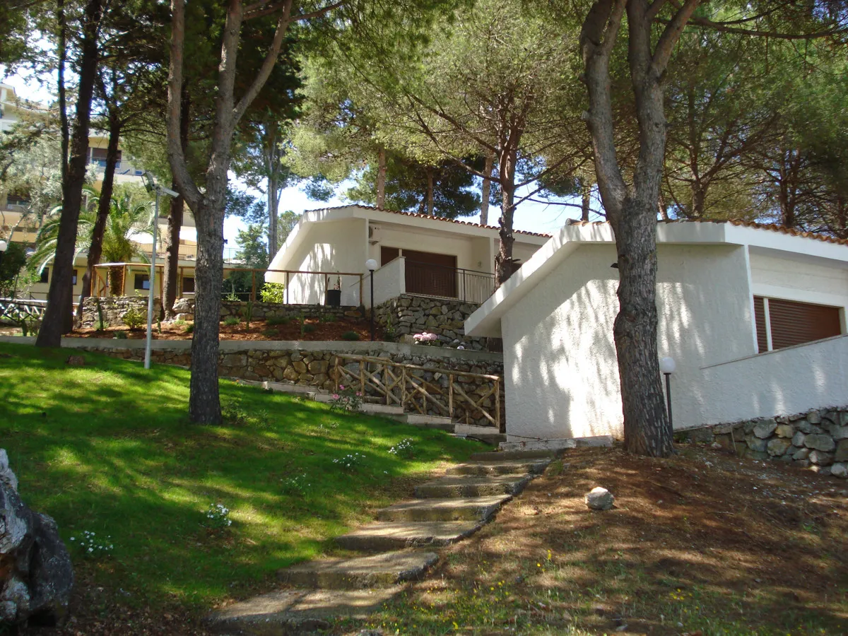 Bungalow bianchi immersi nella pineta con giardino e scalinata in pietra