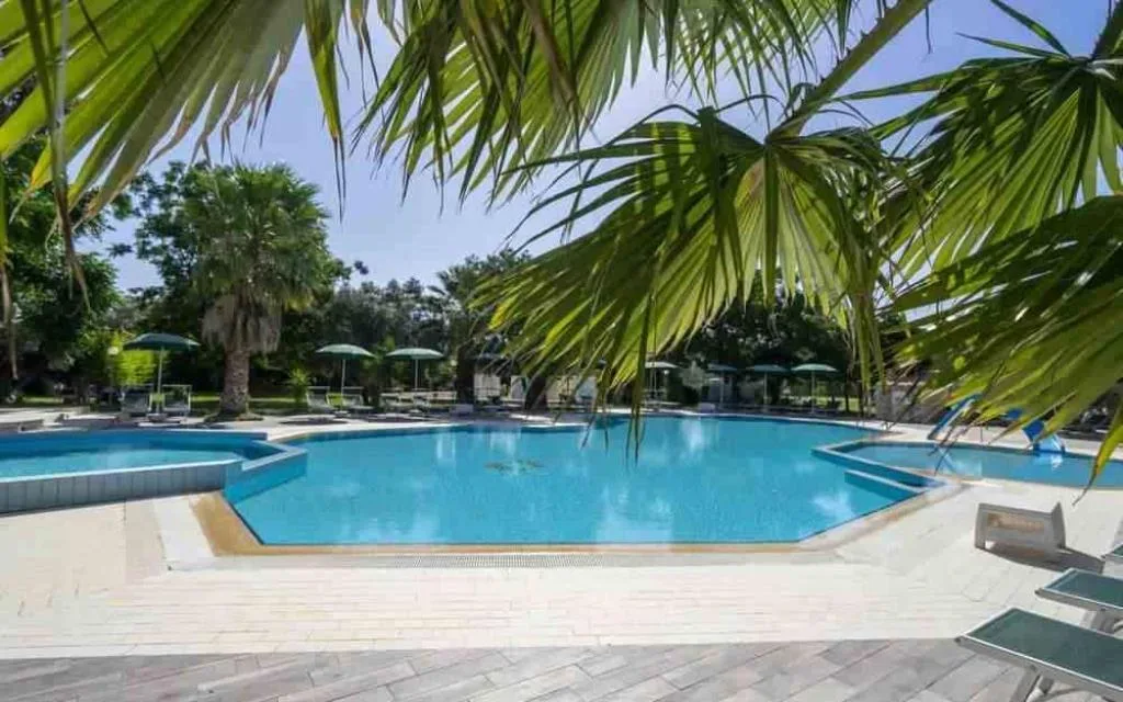 Piscina con acqua azzurra vista attraverso le foglie di palma, lettini e ombrelloni