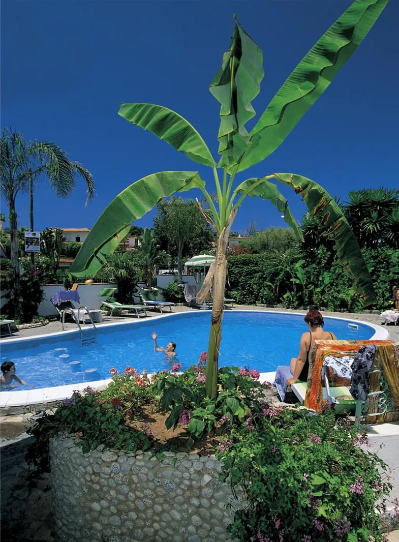 Piscina con pianta di banano e fiori, ospiti in acqua e relax al sole