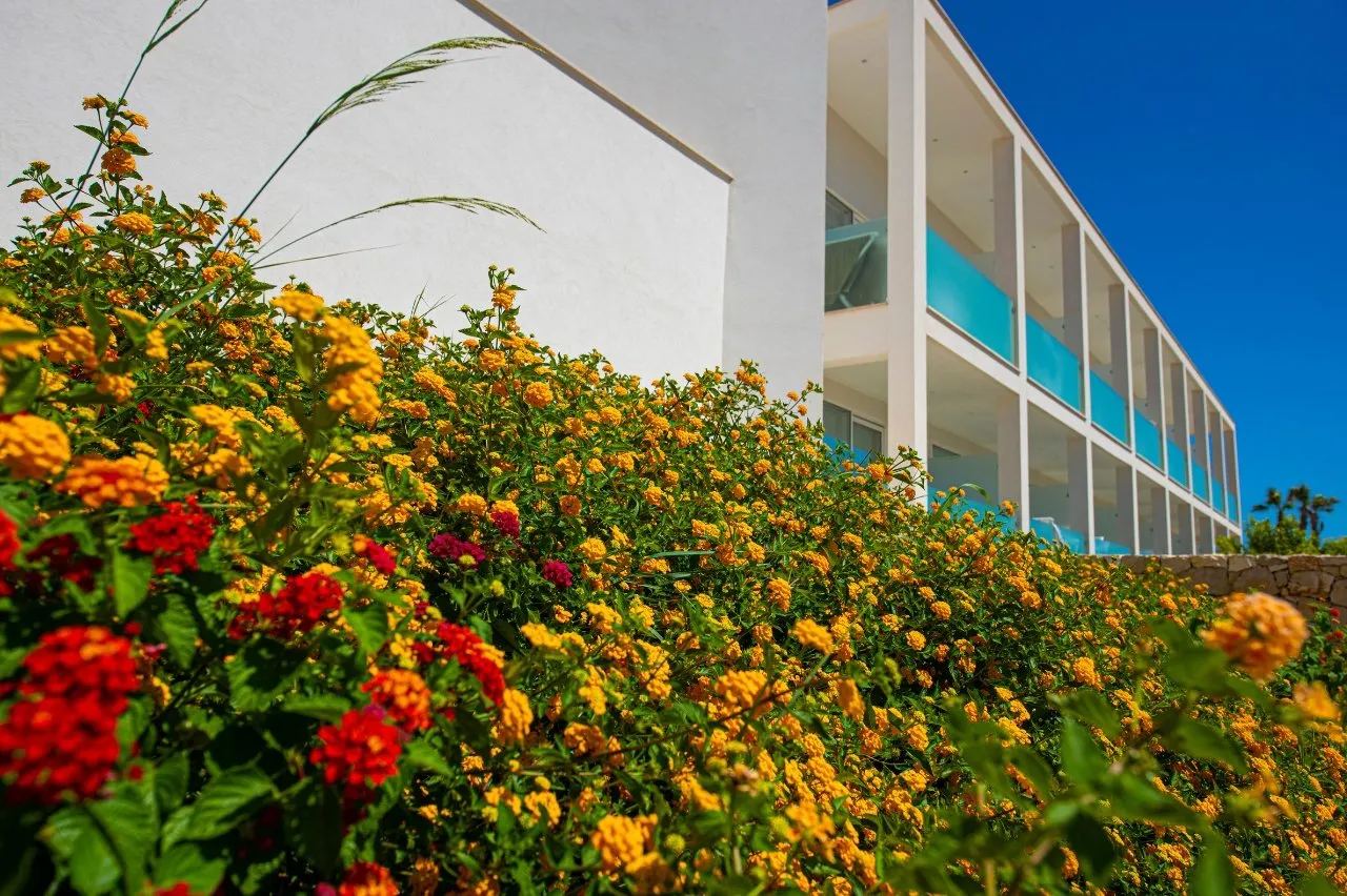 Edificio bianco del resort con fioriture colorate in primo piano