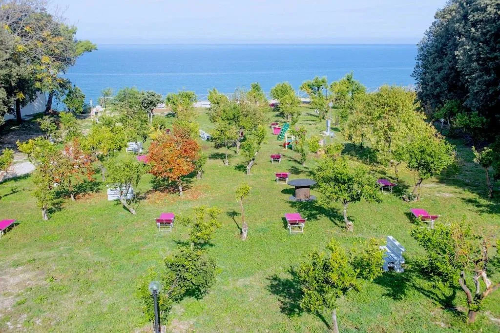 Veduta aerea del giardino verde con alberi e lettini rosa affacciato sul mare