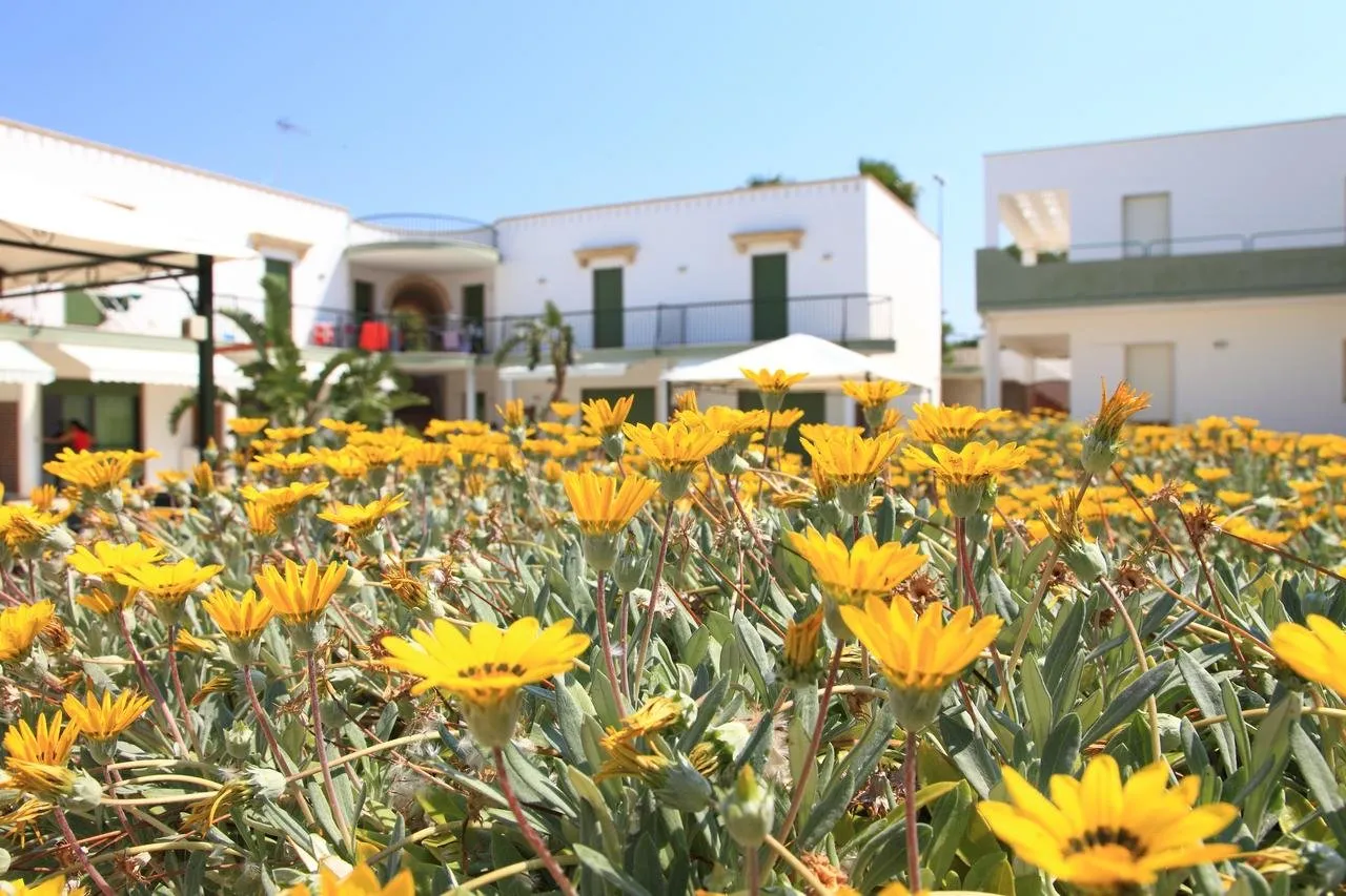 Fiori gialli in primo piano con edifici bianchi del residence sullo sfondo