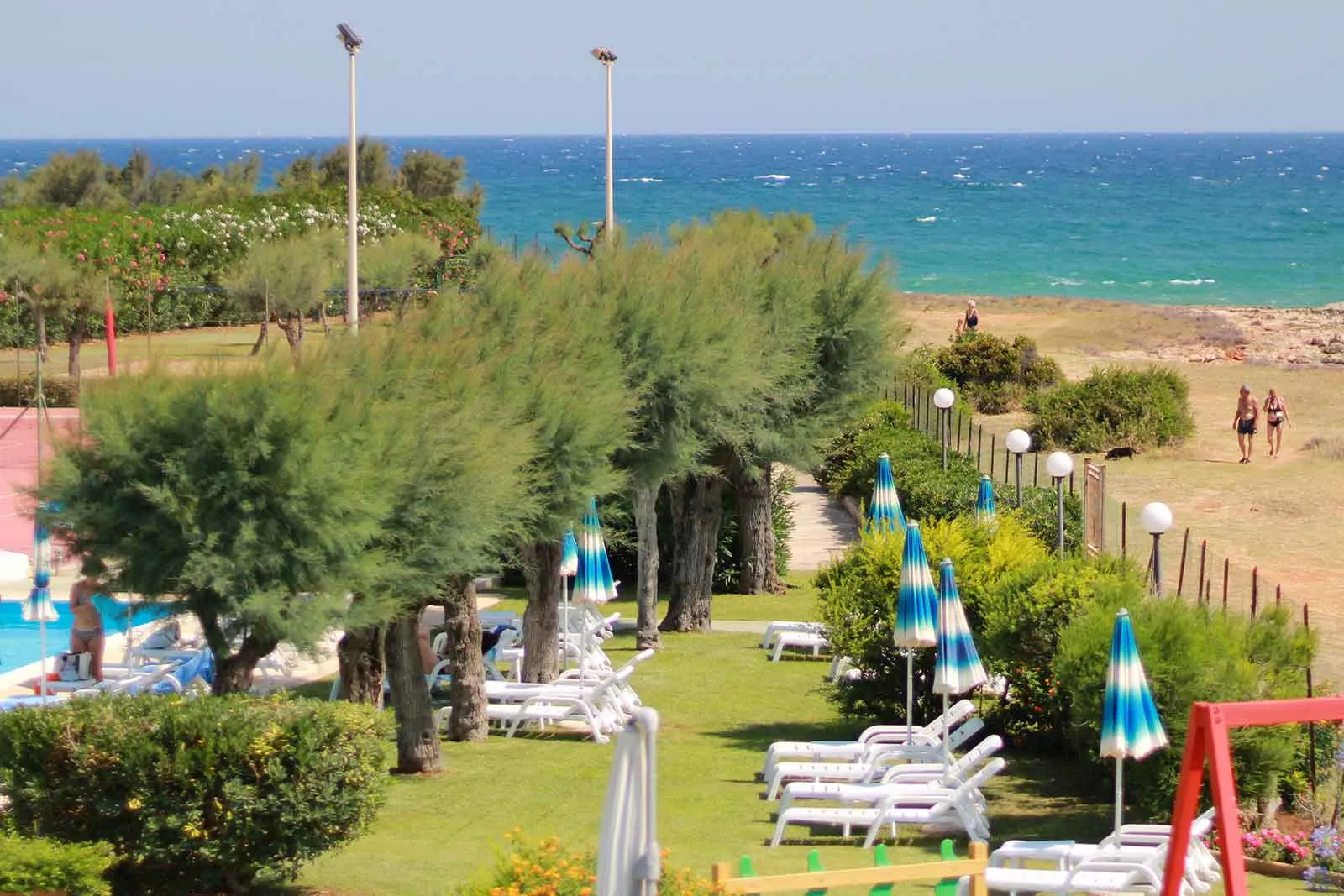 Viale alberato con lettini e ombrelloni lungo il prato verde con vista sul mare blu