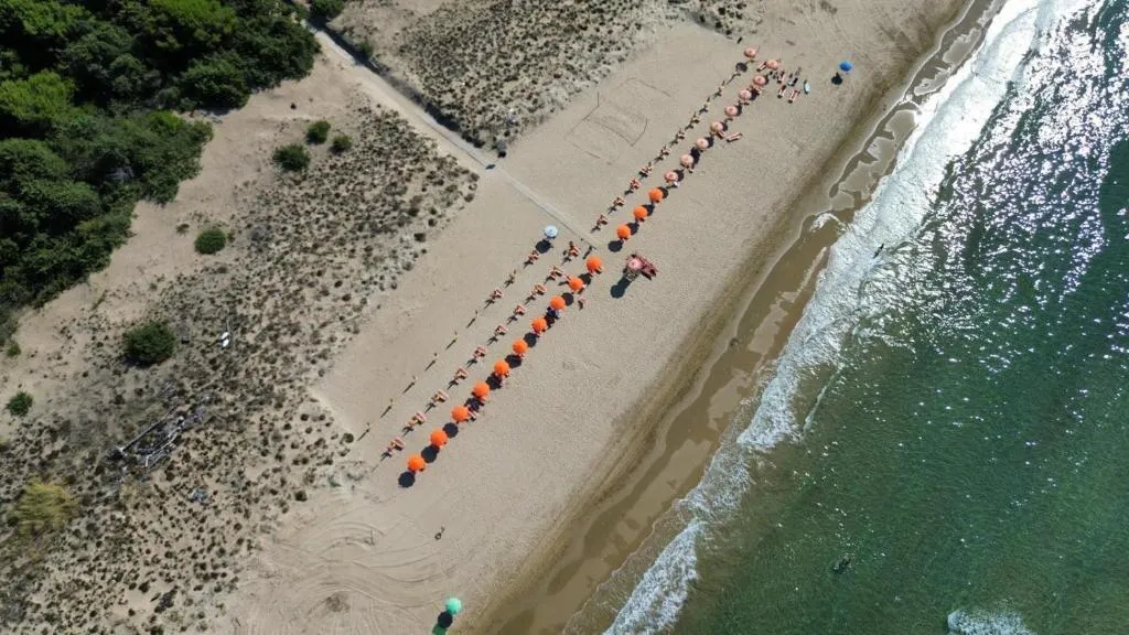 Vista aerea della spiaggia con file di ombrelloni arancioni vicino al mare