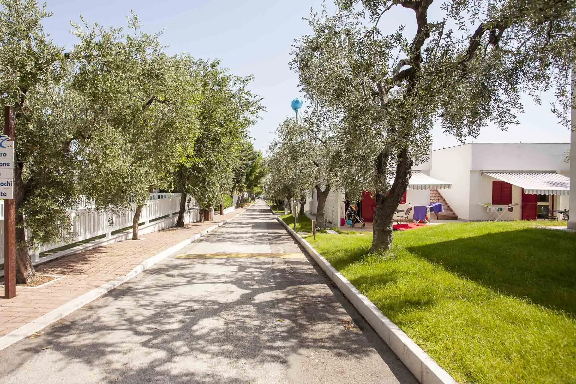 Viale alberato con uliveti che attraversa il villaggio tra i bungalow