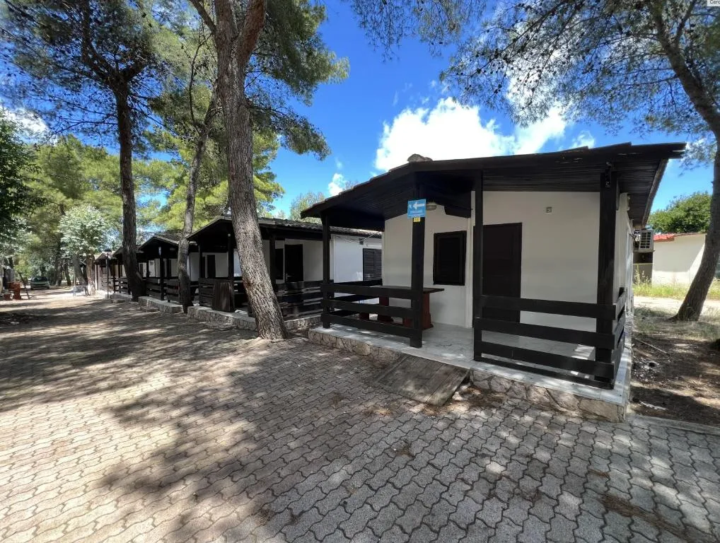 Bungalow in legno con veranda immersi tra i pini del villaggio