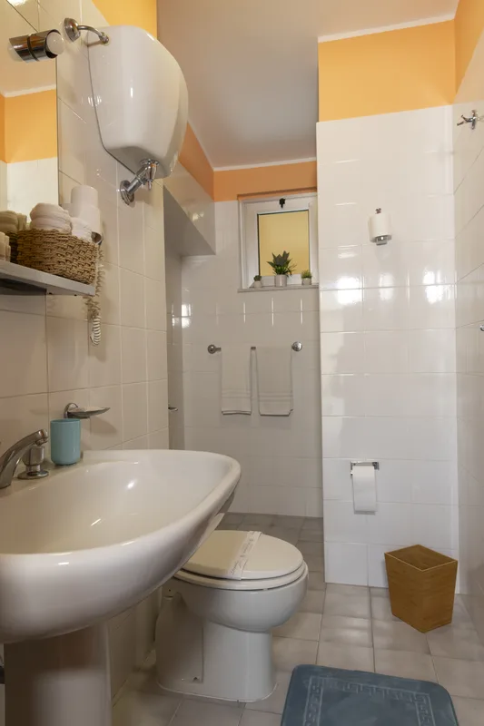 Bagno compatto con lavabo, WC, doccia e finestra con piante