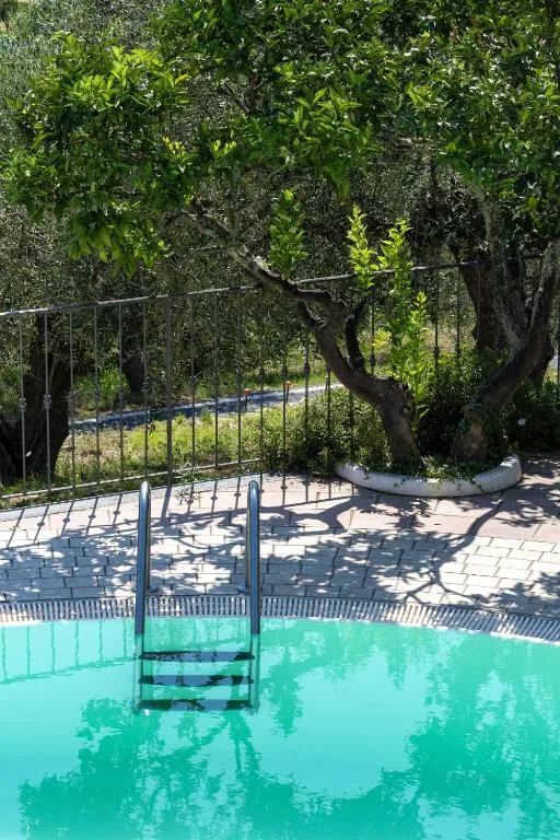 Dettaglio della piscina con scaletta e alberi di agrumi