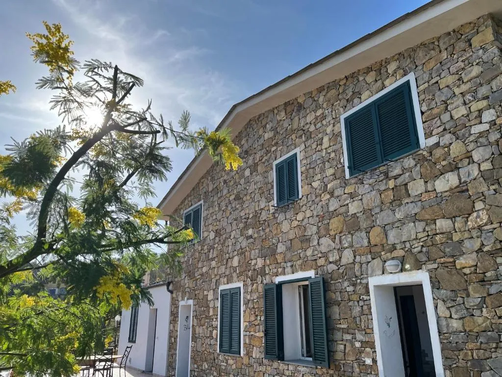 Facciata di casa in pietra con persiane verdi e alberi di mimosa in fiore