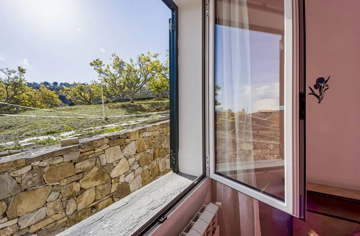 Finestra aperta con vista su giardino, muro in pietra e alberi di mimosa