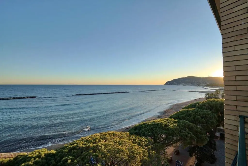 Vista panoramica sul mare e sulla costa al tramonto con pini in primo piano