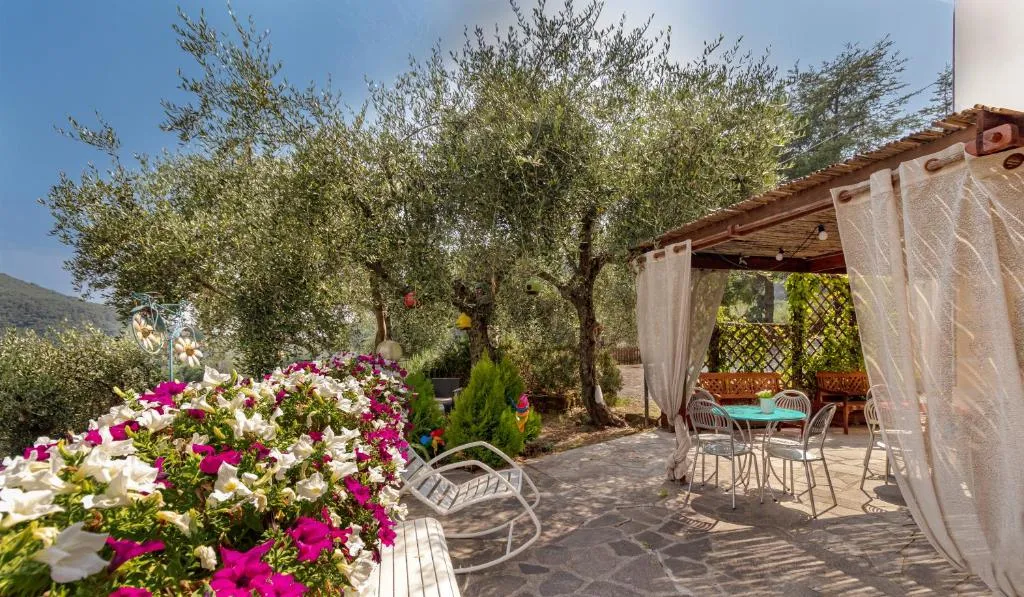 Terrazza panoramica con pergolato, fiori e olivi