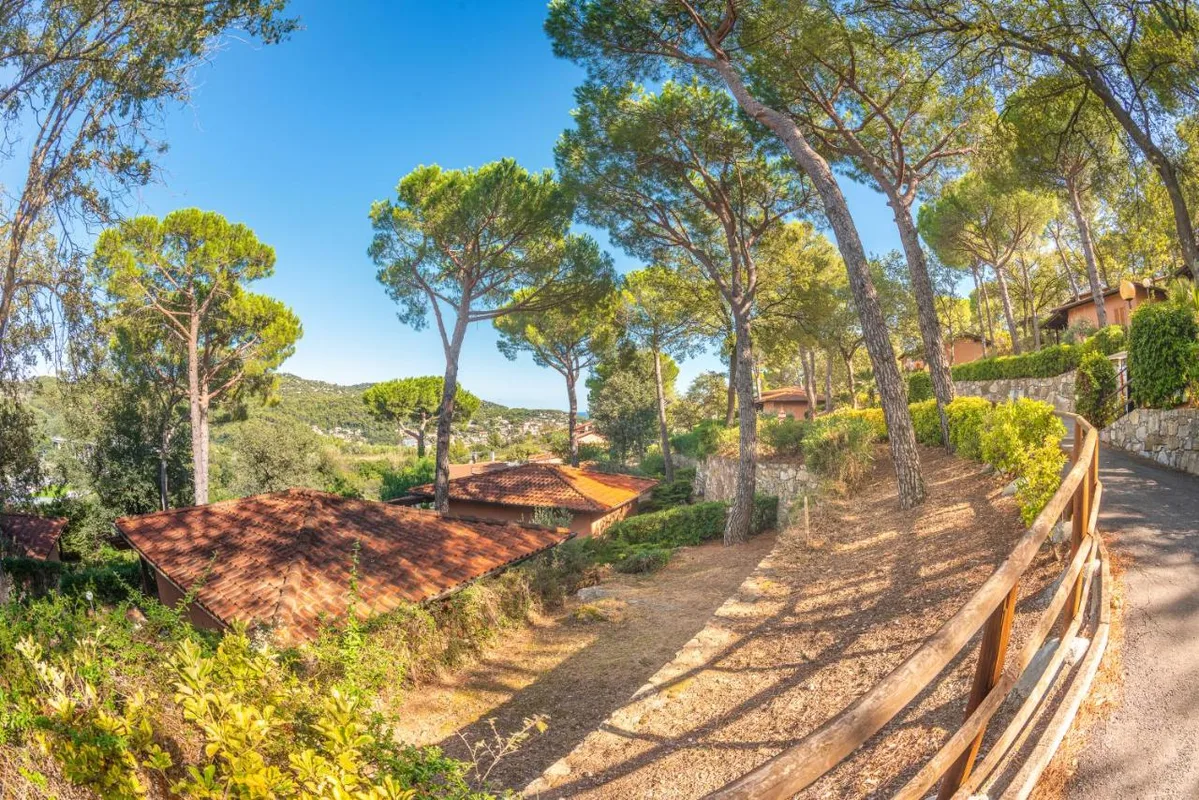 Vialetto del villaggio tra pini marittimi e bungalow immersi nel verde