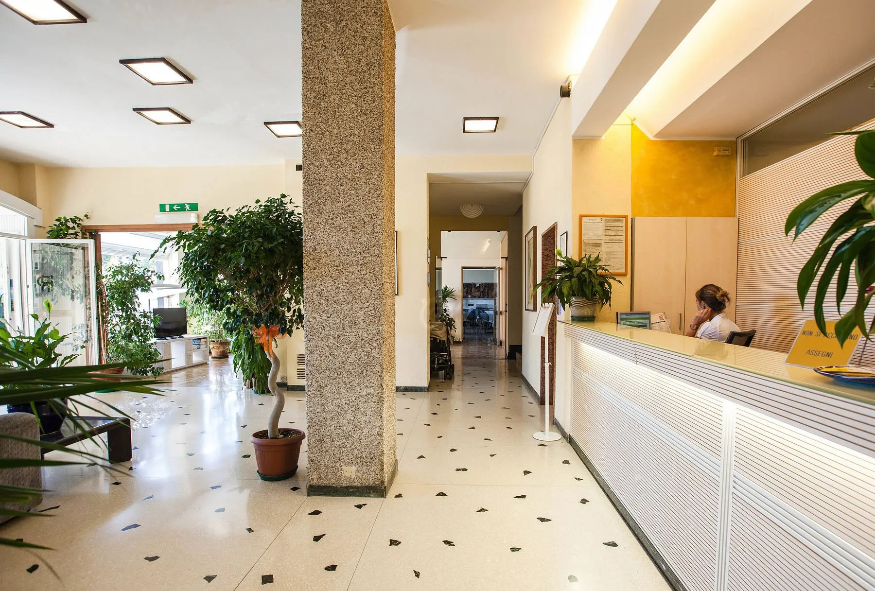 Hall dell'hotel con reception, pavimento decorato e numerose piante verdi