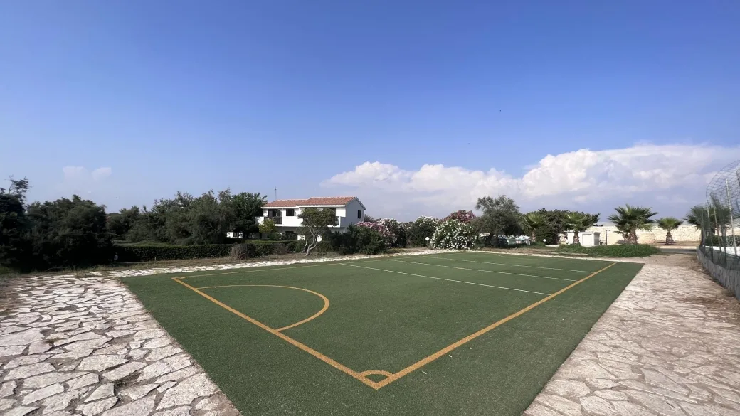 Campo sportivo polivalente in erba sintetica circondato da vegetazione e villette