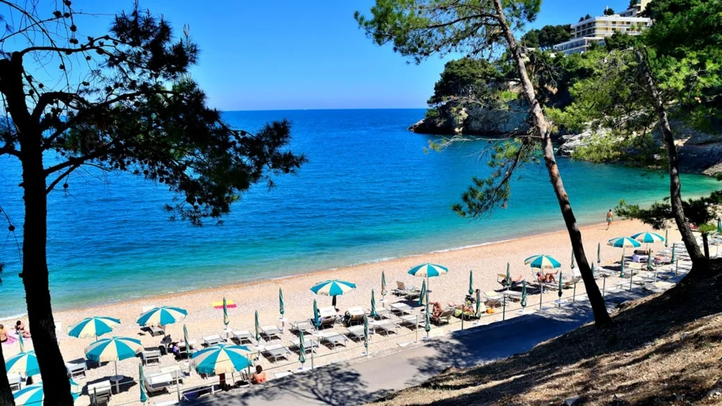 Spiaggia con ombrelloni e lettini azzurri incorniciata da pini con vista sul mare blu intenso