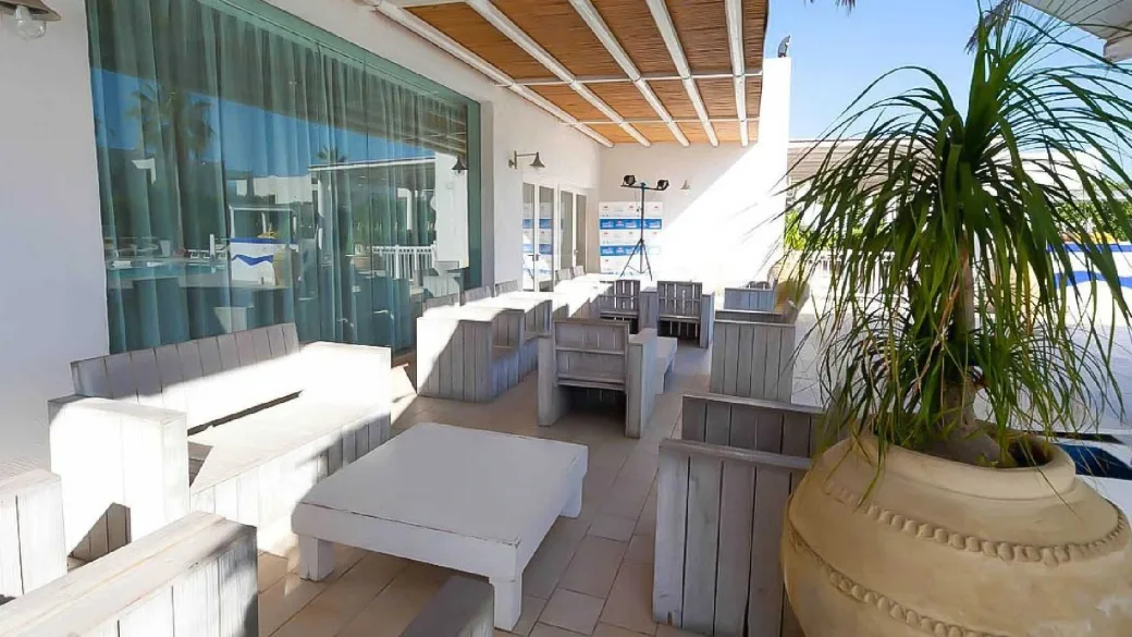Terrazza relax con divani in legno bianco, tavolino e grande vaso con pianta