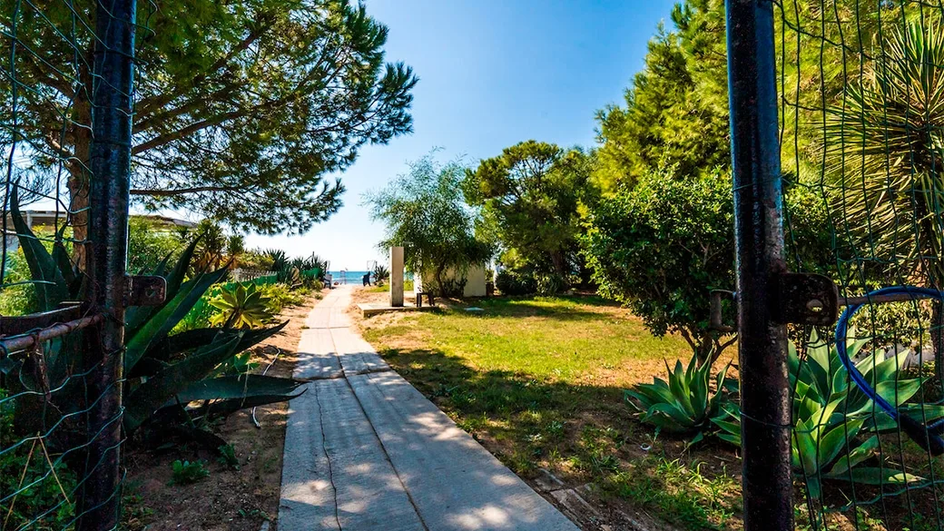 Sentiero verso la spiaggia con vista sul mare tra la vegetazione