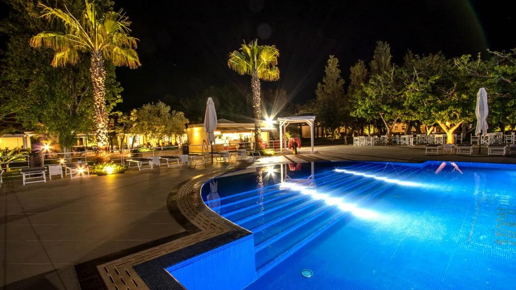 Piscina illuminata di notte con palme e luci del giardino