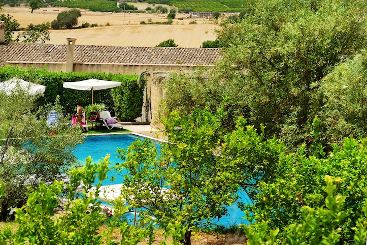 Piscina immersa nel verde tra alberi e vegetazione rigogliosa
