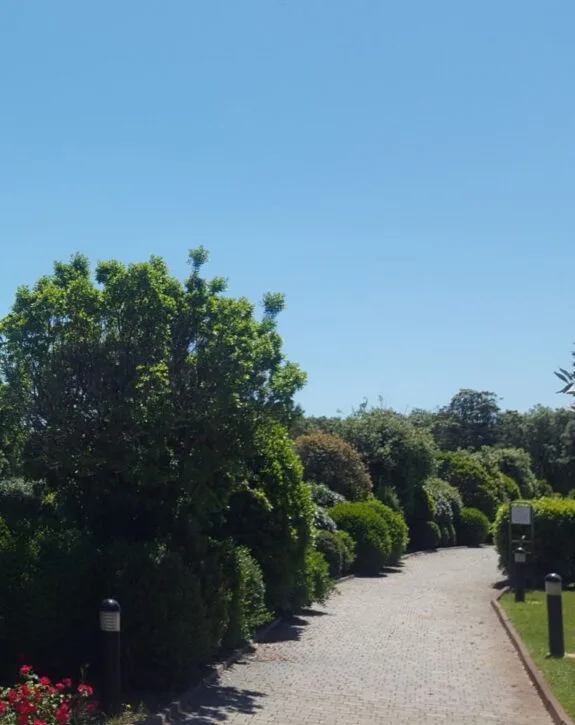 Viale lastricato in un giardino con siepi verdi curvate e cielo sereno azzurro.