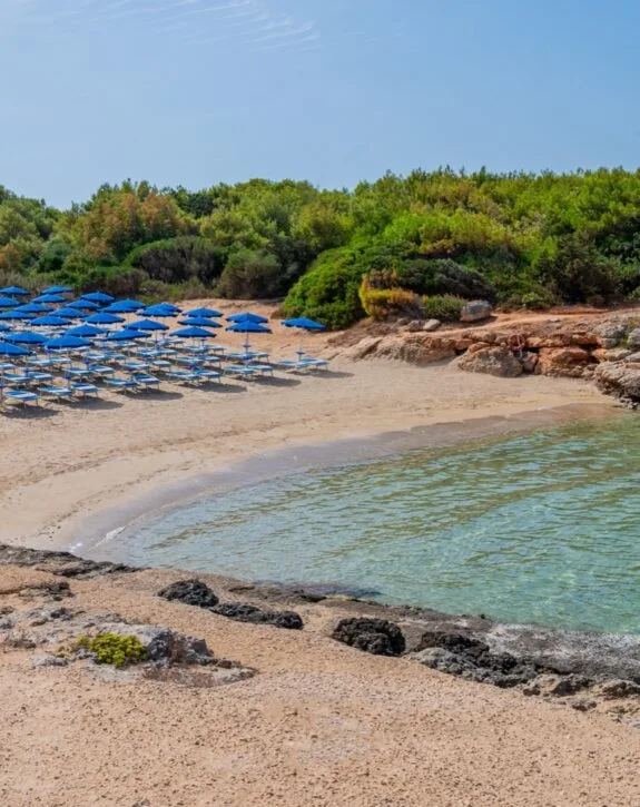 Spiaggia con ombrelloni blu, sabbia dorata e acqua cristallina, circondata da vegetazione lussureggiante.