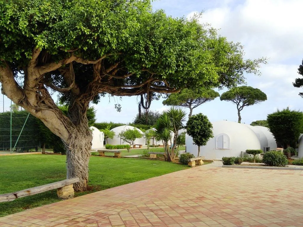 Giardino con grande albero secolare e bungalow bianchi a cupola