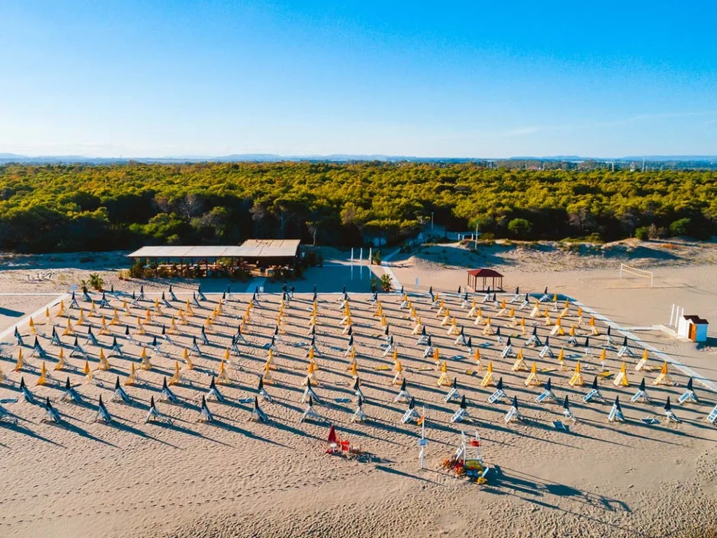 Spiaggia attrezzata con ombrelloni chiusi, chiosco e pineta sullo sfondo