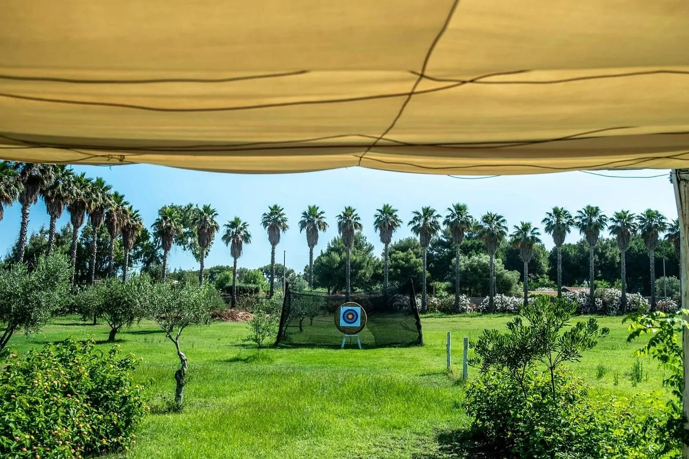 Area tiro con l'arco con bersaglio su prato, palme e ulivi sullo sfondo