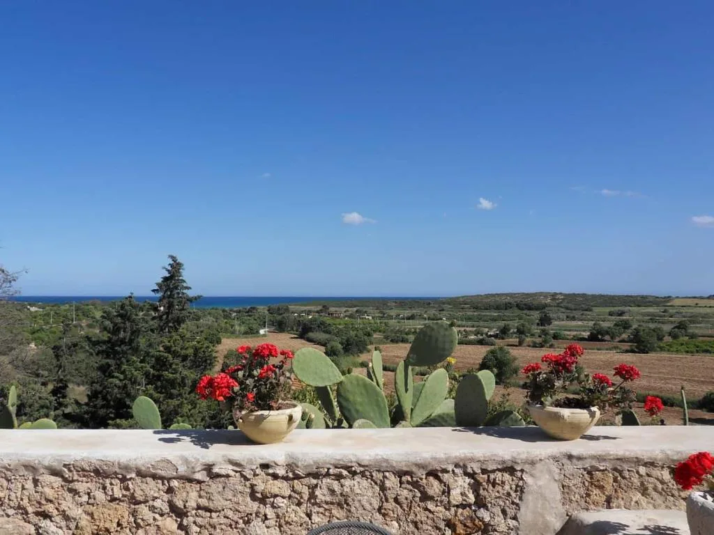 Vista panoramica dalla terrazza con fioriere di gerani, fichi d'India, campagna e mare all'orizzonte